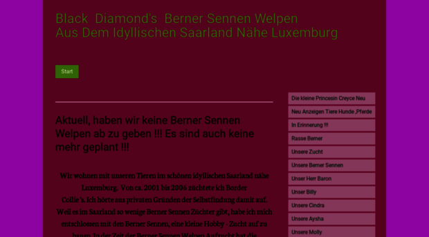 berner-sennen-welpen-saarland.de