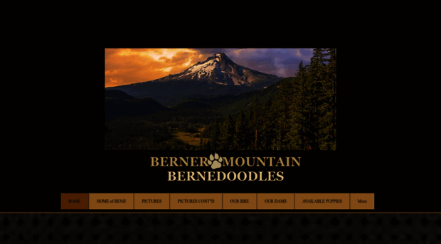 bernermountain.com