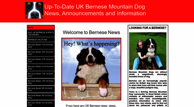 bernesenews.btck.co.uk