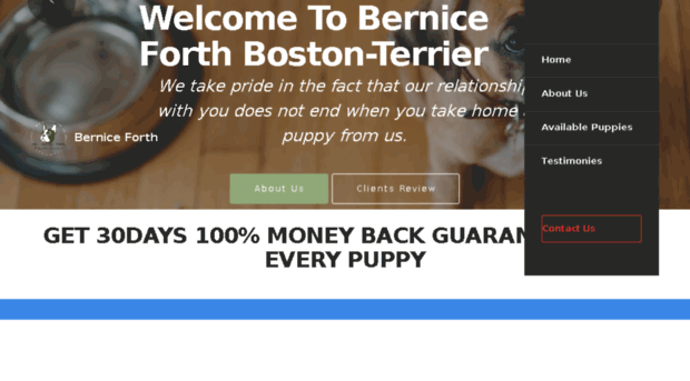 berniceforthbostonterrier.us