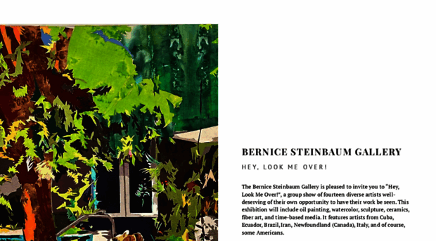 bernicesteinbaumgallery.com