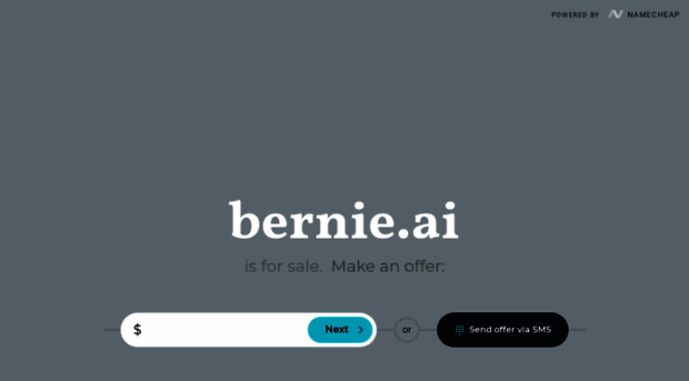 bernie.ai