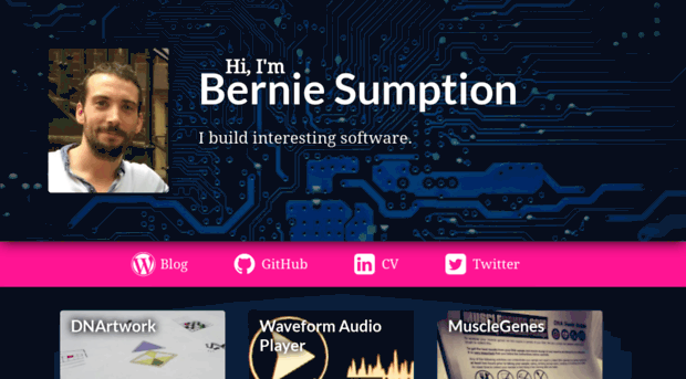 berniesumption.com