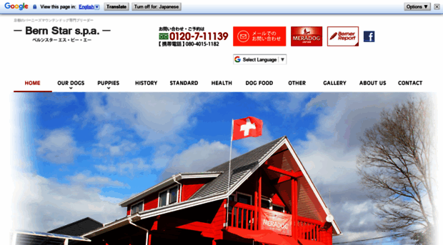 bernstar-spa.com