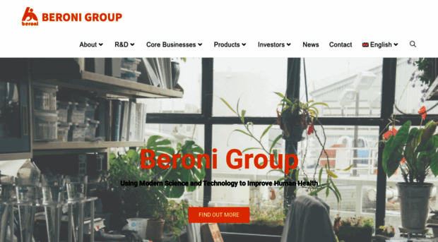 beronigroup.com