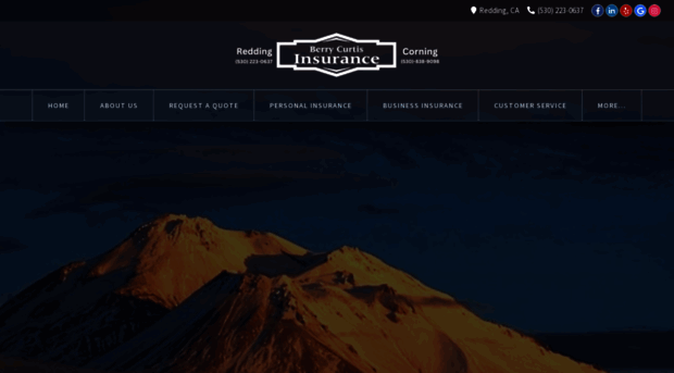 berrycurtisinsurance.com