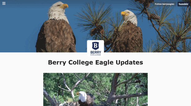 berryeagles.tumblr.com