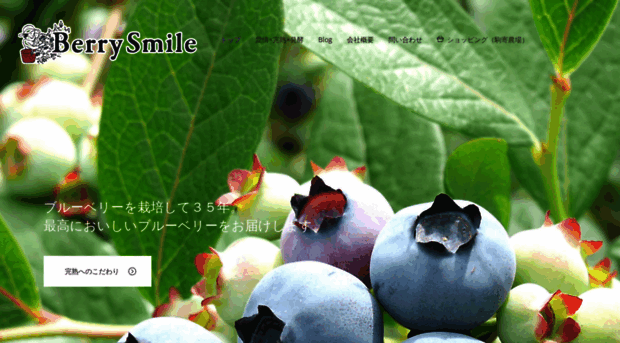berrysmile-noto.com