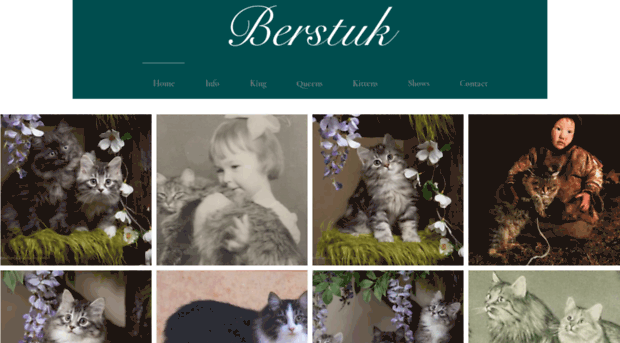 berstuk.com