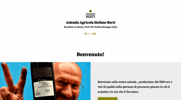 bertistefano.com