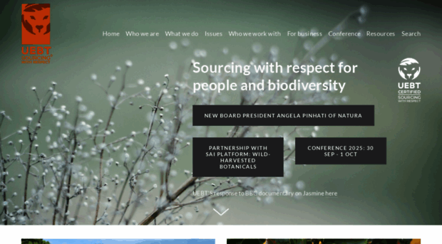 bertjan-bouman.squarespace.com