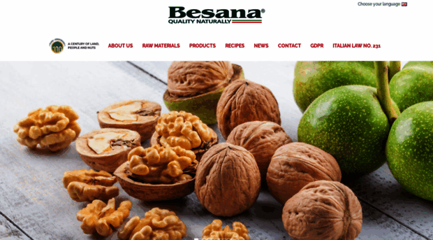 besanaworld.com