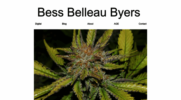 bessbyers.com