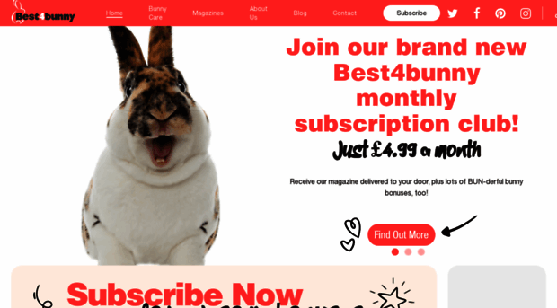 best4bunny.com