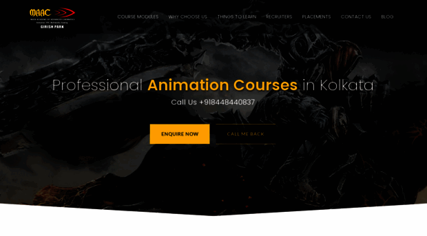 bestanimationcourses.com