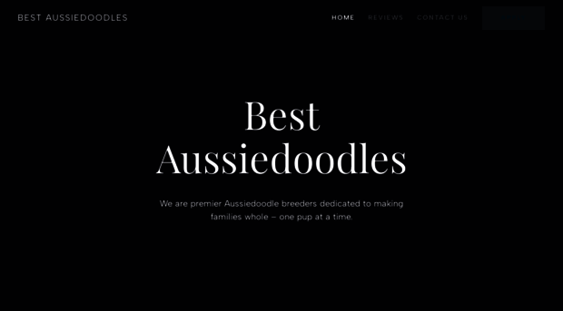 bestaussiedoodles.com