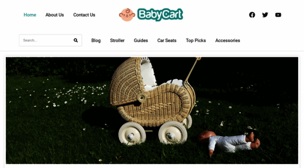 bestbabycart.com