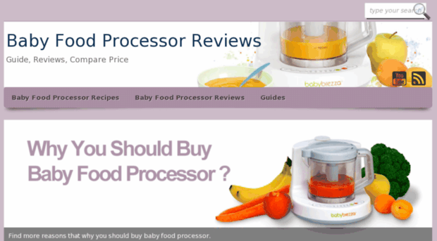 bestbabyfoodprocessorreviews.com