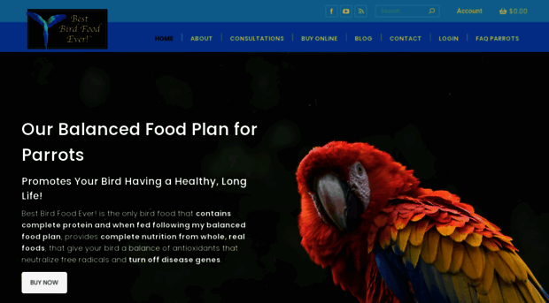 bestbirdfoodever.com