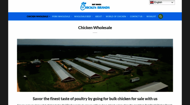 bestbrazilchickenbrands.com