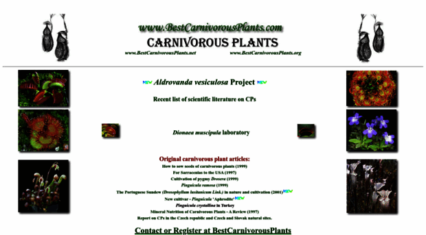 bestcarnivorousplants.com