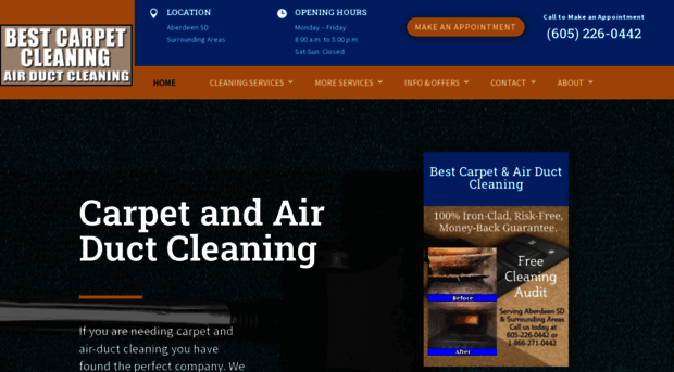 bestcarpetcleaning.com