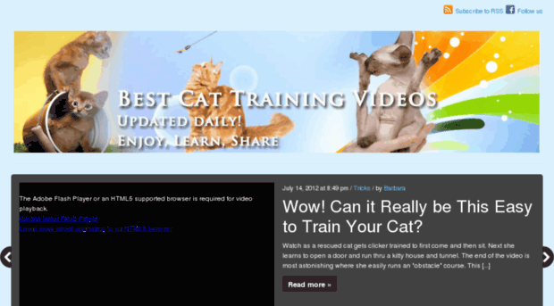 bestcattrainingvideos.com