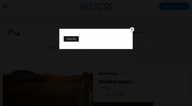 bestcss.in