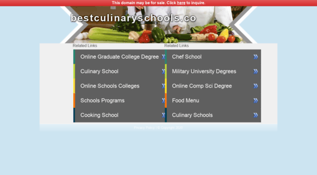 bestculinaryschools.co