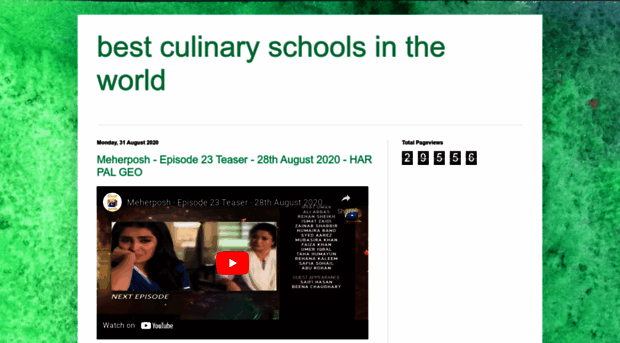 bestculinaryschoolsintheworld.blogspot.com