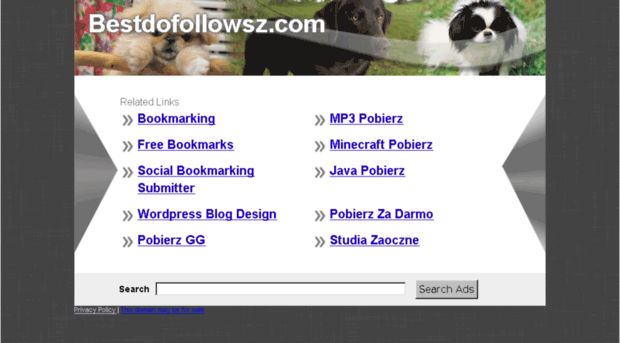 bestdofollowsz.com