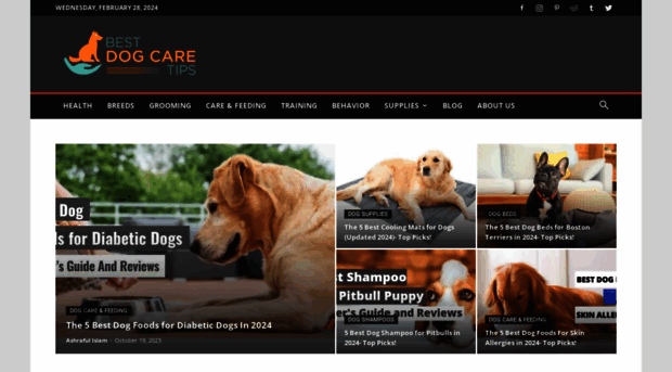 bestdogcaretips.com