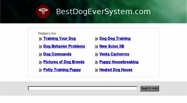 bestdogeversystem.com