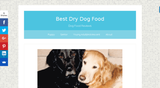 bestdogfoodreviews.net