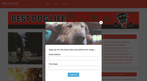 bestdoglife.com