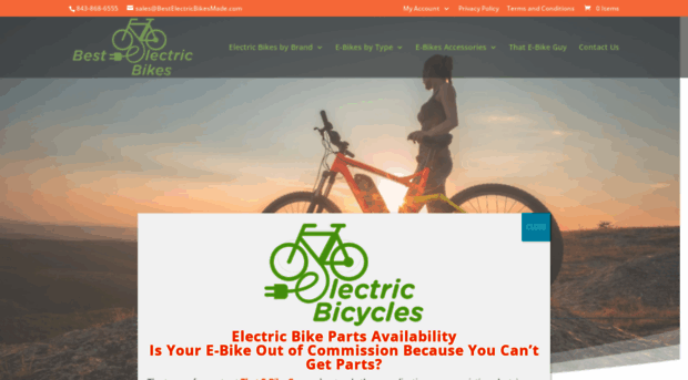 bestelectricbikesmade.com