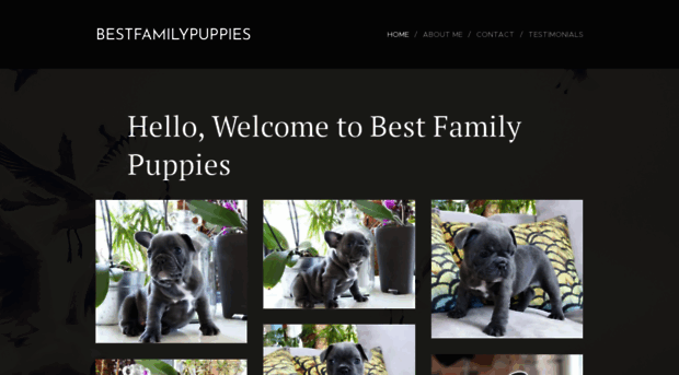 bestfamilypuppies.webnode.com