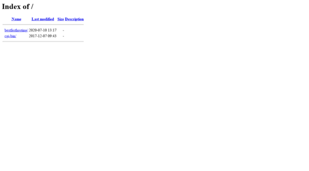 bestfasthosting.com