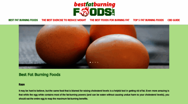 bestfatburningfoods.net
