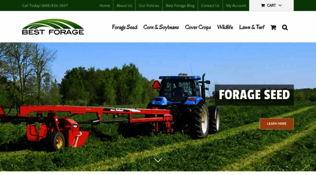 bestforage.com