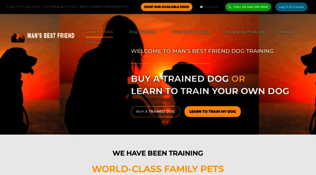 bestfrienddogtraining.com