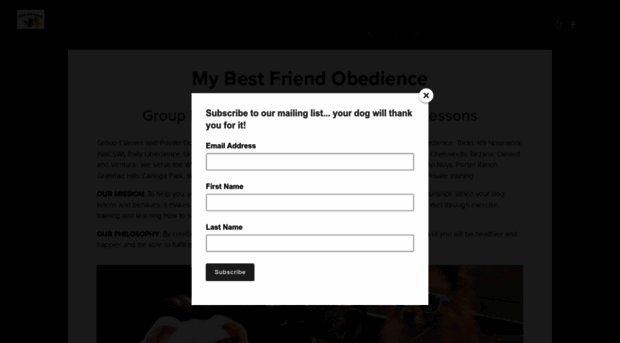 bestfriendobedience.com