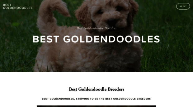 bestgoldendoodles.com