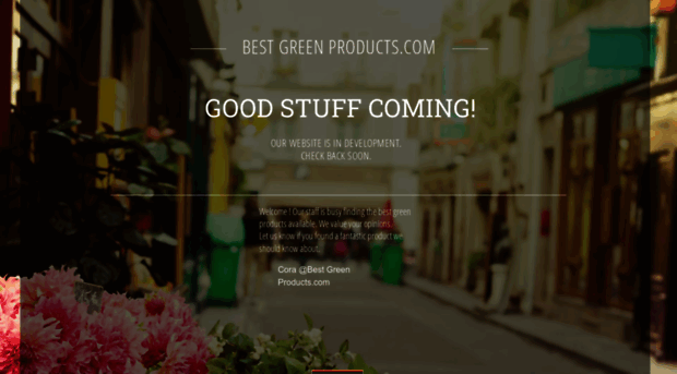 bestgreenproducts.com