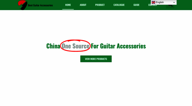 bestguitaraccessories.com