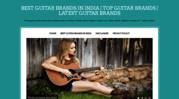 bestguitarbrandsinindia.blogspot.com