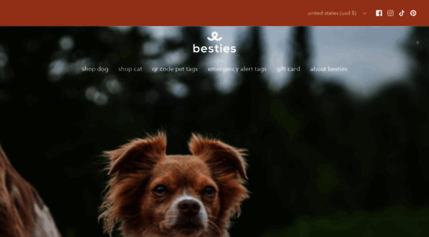 bestiespets.com