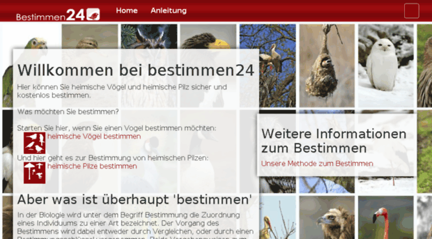 bestimmen24.de