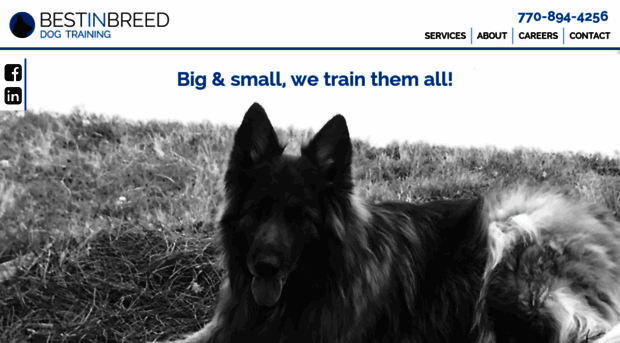 bestinbreeddogtraining.com