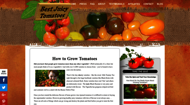 bestjuicytomatoes.com
